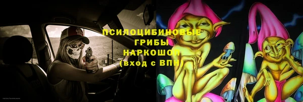 индика Богданович