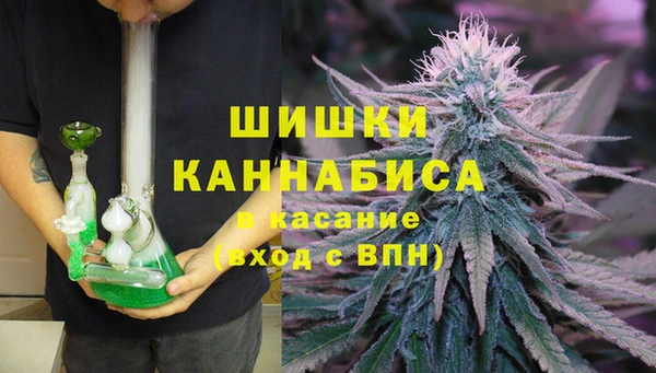 индика Богданович